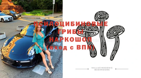 ГАЛЛЮЦИНОГЕННЫЕ ГРИБЫ Балахна