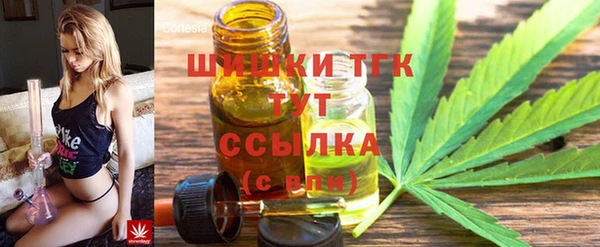 дживик Баксан