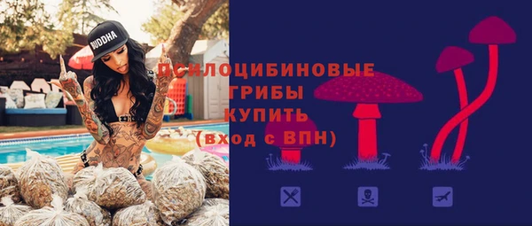 ГАЛЛЮЦИНОГЕННЫЕ ГРИБЫ Балахна